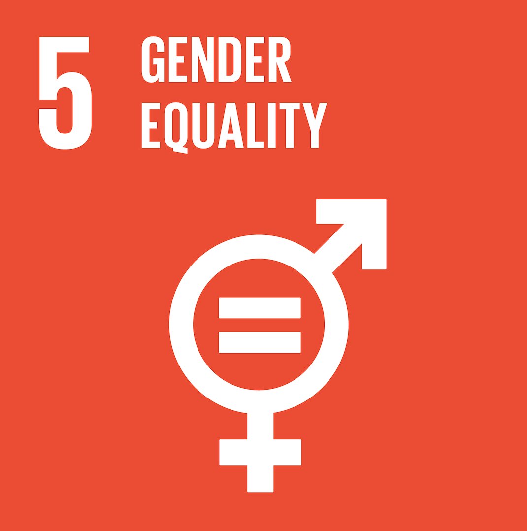 sdg5 icon