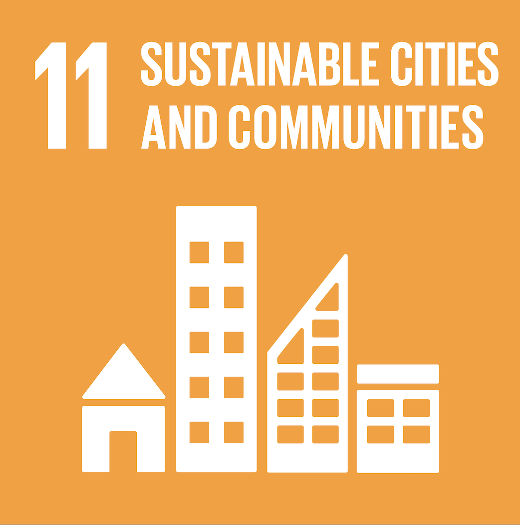 sdg11 icon