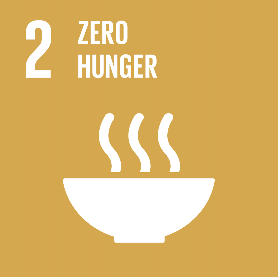 sdg2 icon